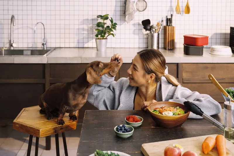 Woman and dachshund at a kitchen table with bowls of fresh food