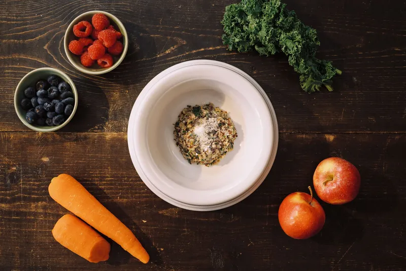 Bowl of fresh dog food with carrots, berries, kale and tomatoes
