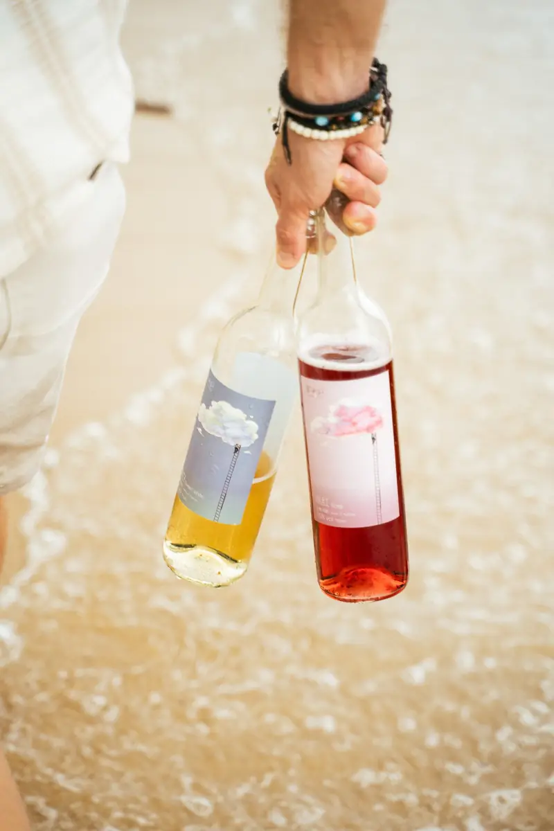 Bottles of wine held in sunlight on the sand